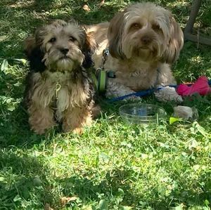 Meet your Posher, Tracey